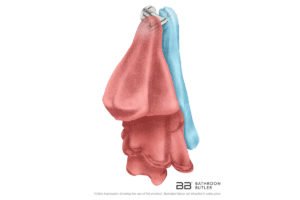 Double Robe Hook 8211 showing artists impression of two dressing gowns